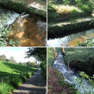ROSEHILL & CASTLE HORNECK