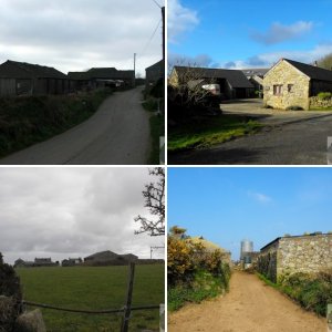 Down on the farm