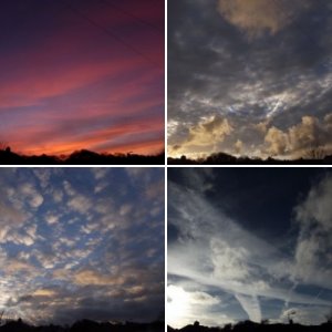 Evening skies