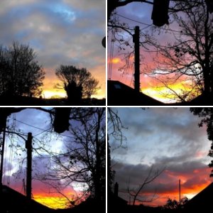 Sun Arise