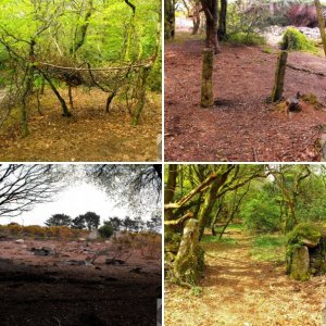 Woodlands