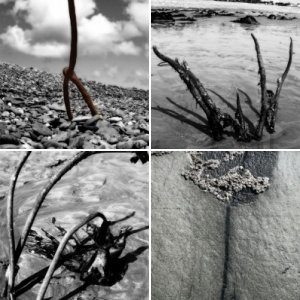 Penzance Beach