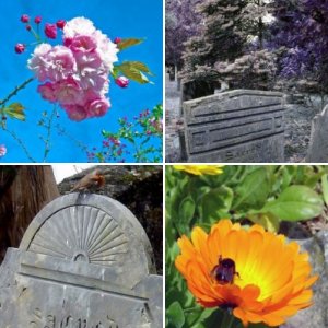 Penzance Colour One
