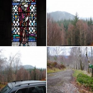 Alan's Pics
