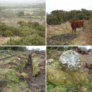 MADRON CARN