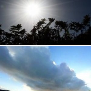 Seas and Skies 2012