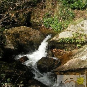 2004