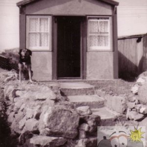 House and a Dog