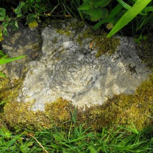 Rock art