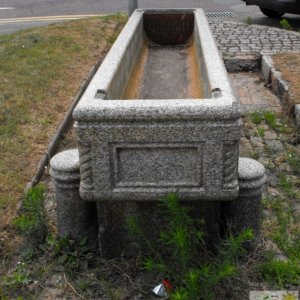 The horse trough