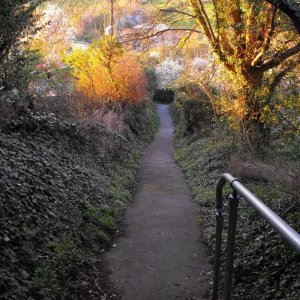 Evening colours