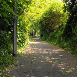 Downhill