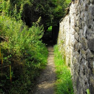 To the bridge