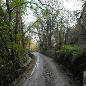 November in the lane (1)