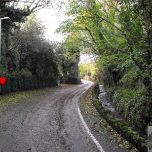 November in the lane (2)