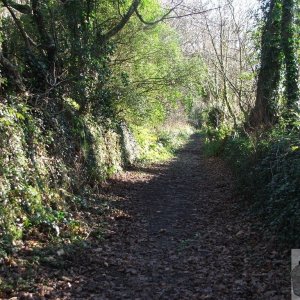 Boscathnoe (2)