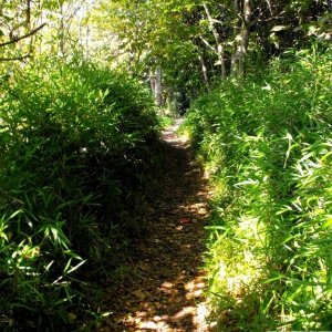 Ponsandane (1)