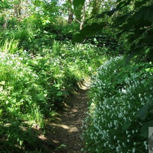 Trannack (3)