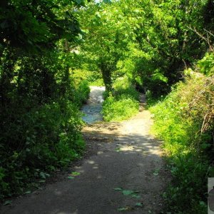 Bleu Bridge (1)