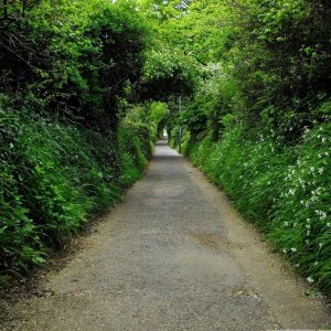 Chyandour Coombe