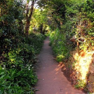 Pendennis (2)