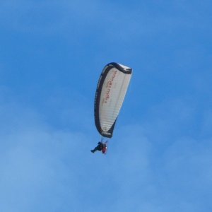 Paragliders