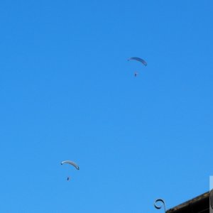 Paragliders