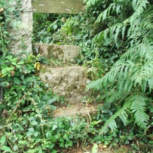 Parc-an-Growes (2)