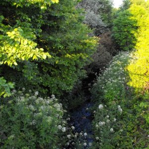 Downstream