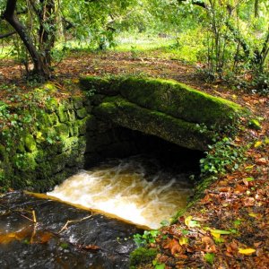 Lariggan Brook (2)