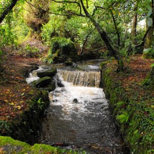 Lariggan Brook (1)