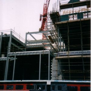 Steel skeleton