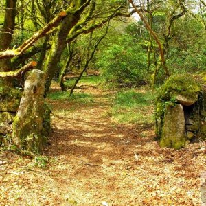 Gateway (1)