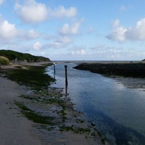 Estuary