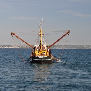 newlyn.