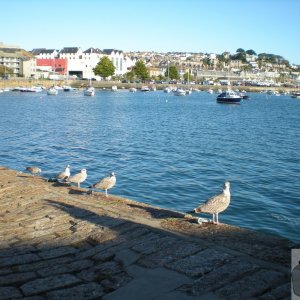 Penzance.