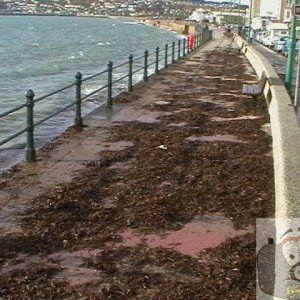 Penzance.