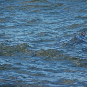 Off Longrock  Penzance