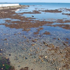 Mounts Bay  Penzance.