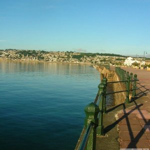 Newlyn  from  the  prom