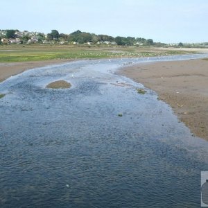 Hayle Estuary: Sept., 2007