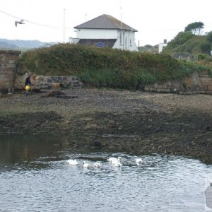 A corner of the Estuary, Hayle