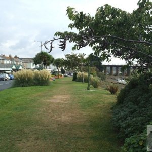 Hayle Harbour and Viaduct