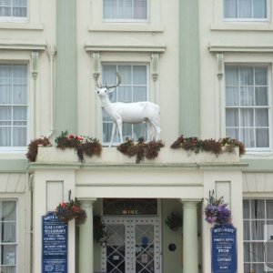 The White Hart Hotel, Hayle