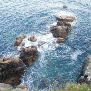 View from cliffs at Lamorna Cove