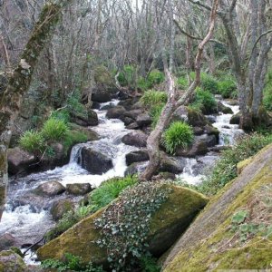 River that runs down to Lamorna Cove