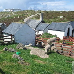 Land's End - Jul, 2007