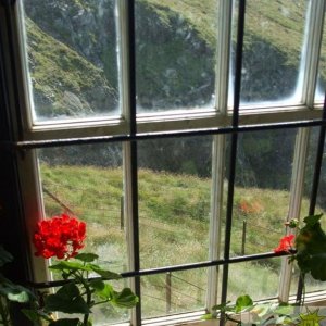 View Boscregan Zawn from Winding House of Levant Mine