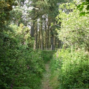 Marazion Marsh - 02Jun10