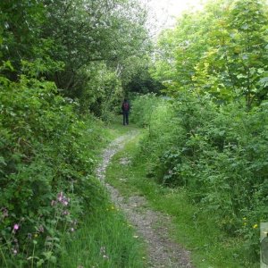 Marazion Marsh - 02Jun10